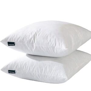 18x18 Decorative White Throw Pillow Insert - 1 count - Down Feather